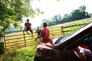 The Developing Brain and Teen Driving The Developing Brain and Teen Driving