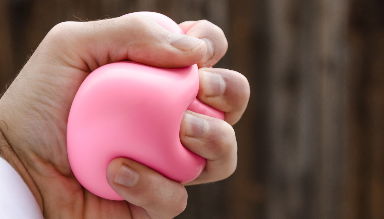squishy toy