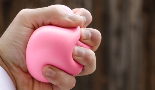 squishy toy