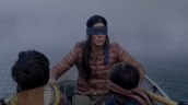 Bird Box Challenge
