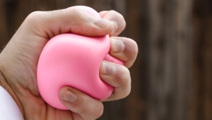 squishy toy