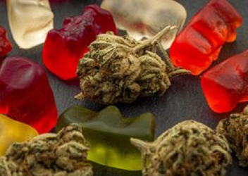 edible cannabis products