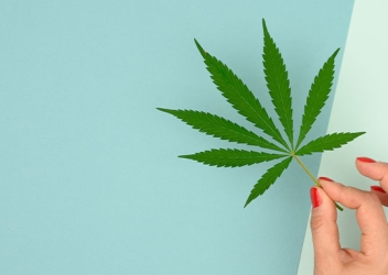 marijuana